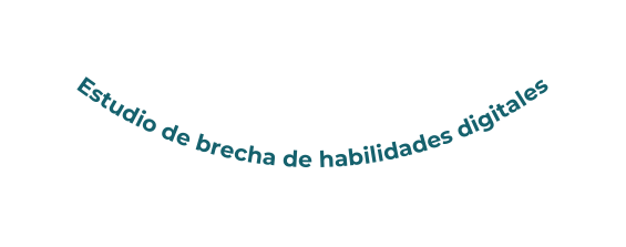 Estudio de brecha de habilidades digitales